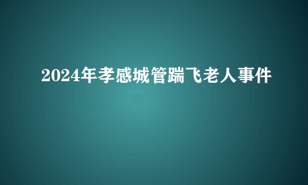 2024年孝感城管踹飞老人事件