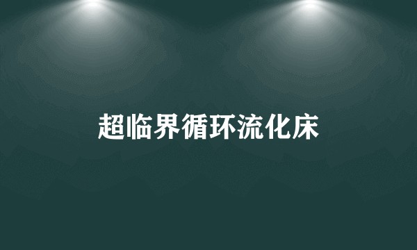 超临界循环流化床