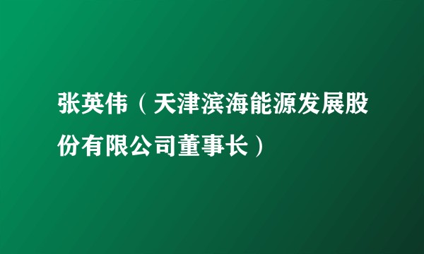 张英伟（天津滨海能源发展股份有限公司董事长）