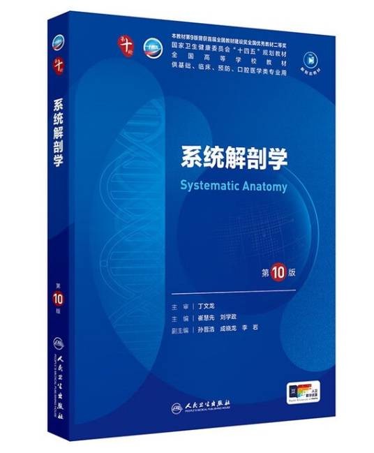 系统解剖学（第10版）