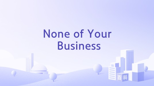 None of Your Business（奥地利组织）