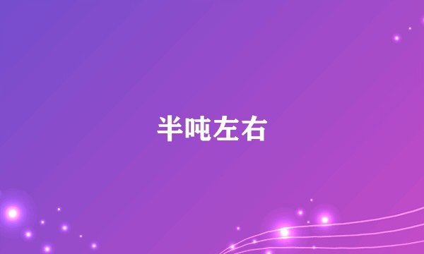 半吨左右