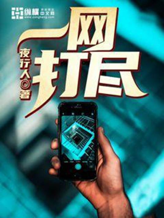 一网打尽（夜行人所著小说）