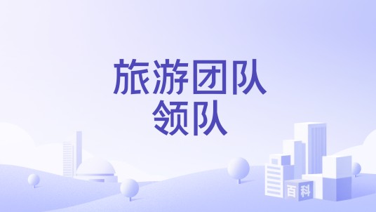 旅游团队领队