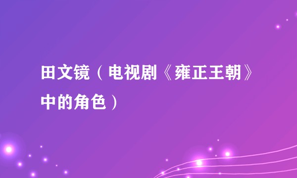 田文镜（电视剧《雍正王朝》中的角色）