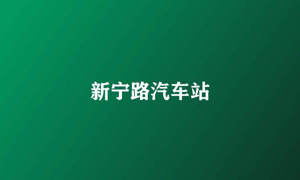 新宁路汽车站