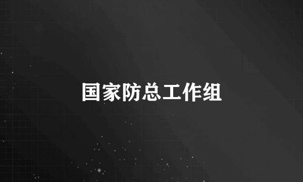 国家防总工作组