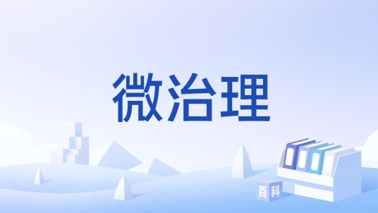 微治理