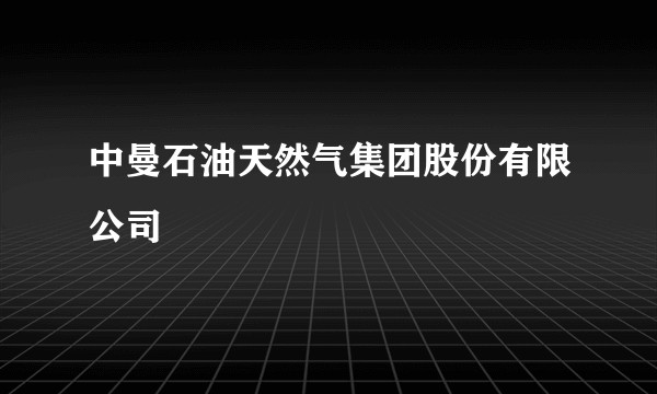 中曼石油天然气集团股份有限公司