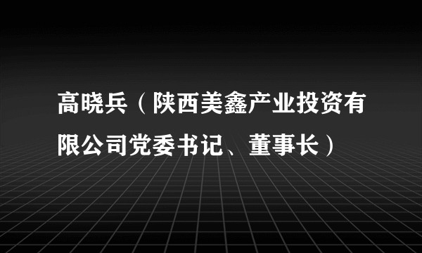 高晓兵（陕西美鑫产业投资有限公司党委书记、董事长）