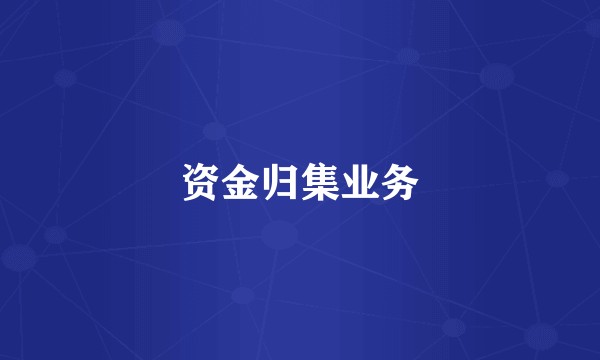 资金归集业务