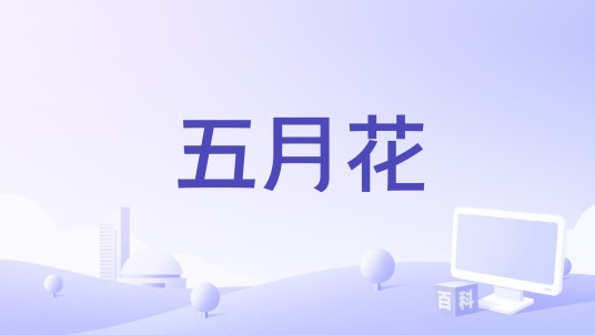 五月花（1959年墨西哥电影）
