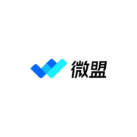 上海微盟企业发展有限公司