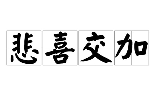 悲喜交加（汉语词语）