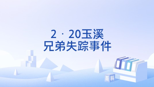2·20玉溪兄弟失踪事件