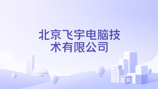 北京飞宇电脑技术有限公司