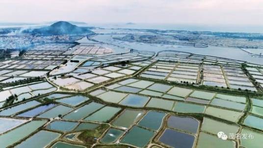 岭门养虾场