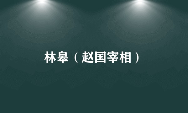 林皋（赵国宰相）