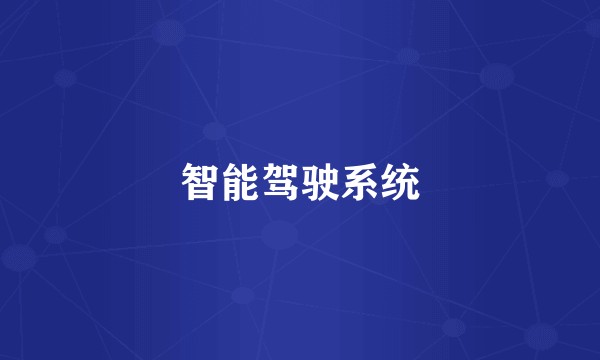 智能驾驶系统