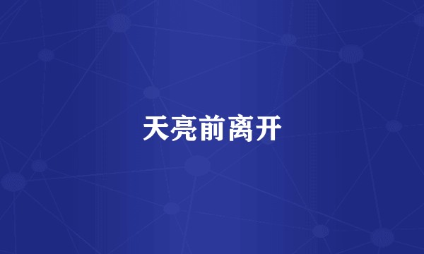 天亮前离开