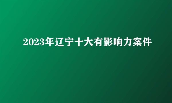2023年辽宁十大有影响力案件