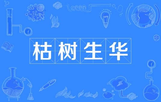 枯树生华