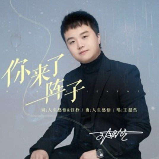 你来了一阵子