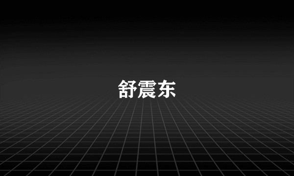 舒震东