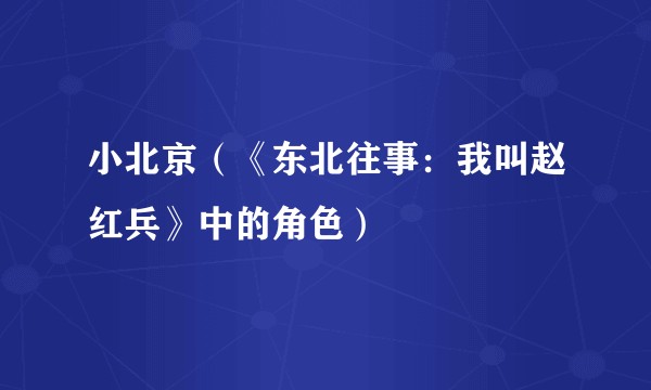 小北京（《东北往事：我叫赵红兵》中的角色）