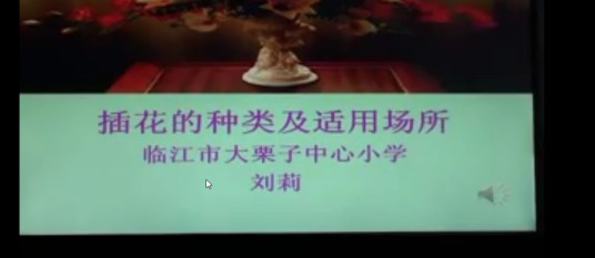 插花（小学微课程）