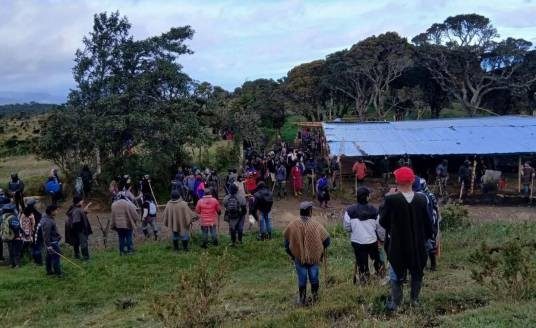 5·21哥伦比亚原住民群体冲突事件