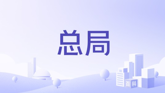 总局