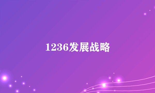 1236发展战略