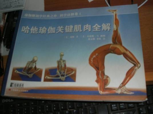 哈他瑜伽关键肌肉全解