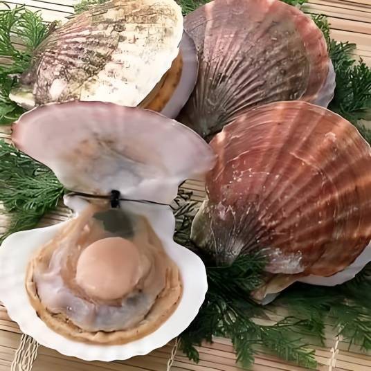 海鲜大咖
