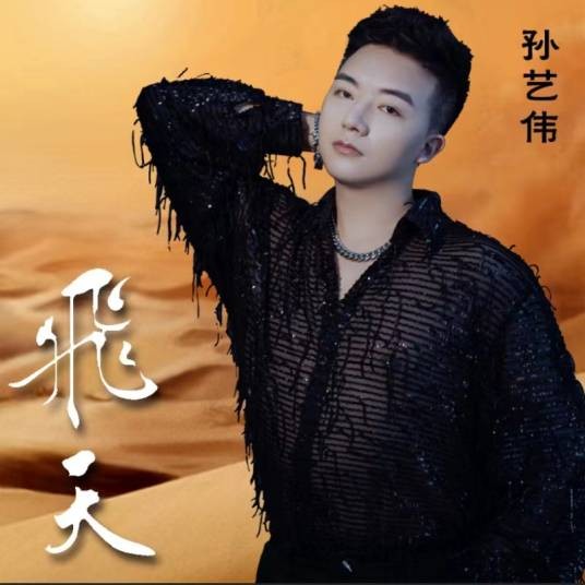 飞天（孙艺伟演唱的歌曲）