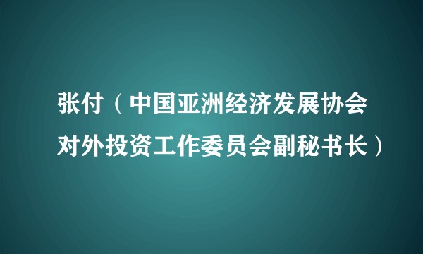张付（中国亚洲经济发展协会对外投资工作委员会副秘书长）