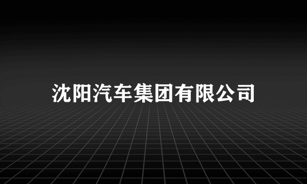 沈阳汽车集团有限公司