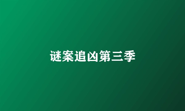 谜案追凶第三季