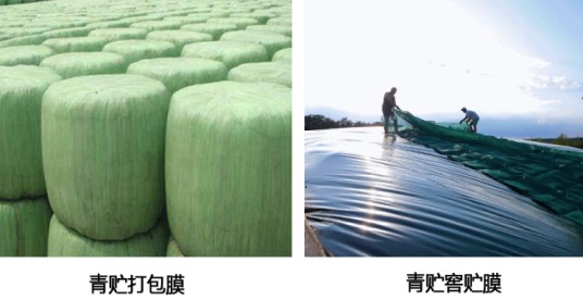 青贮技术