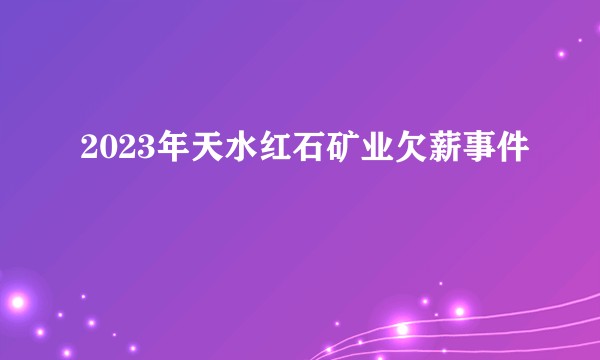 2023年天水红石矿业欠薪事件