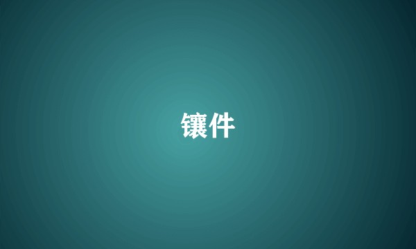 镶件