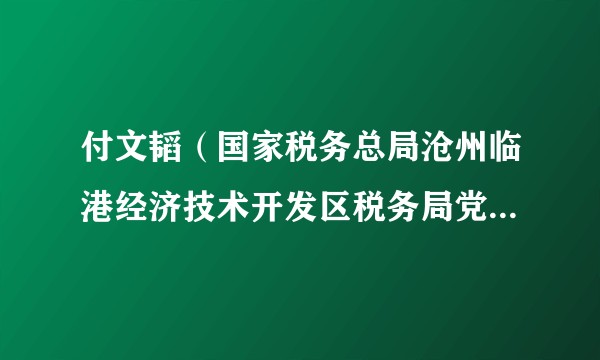 付文韬(国家税务总局沧州临港经济技术开发区税务局党委委员、副局长)
