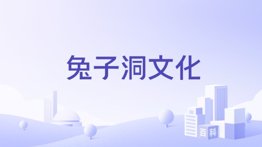 兔子洞文化