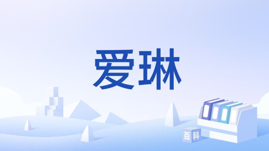 爱琳（《洛奇M》游戏中的奇幻世界）