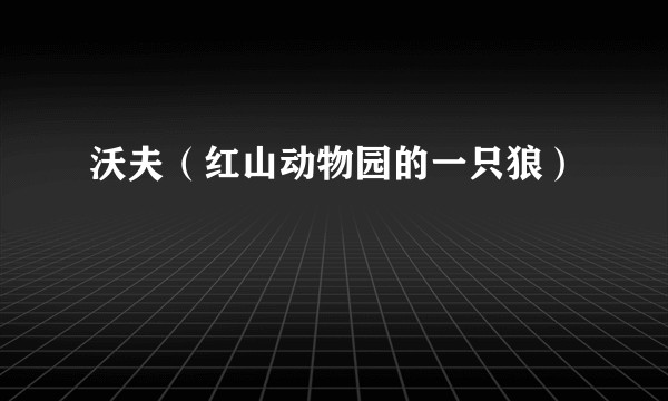 沃夫（红山动物园的一只狼）