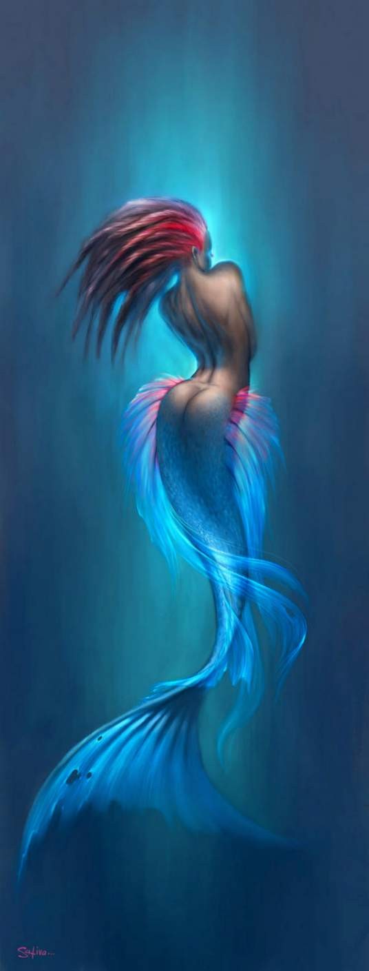 海鲛人