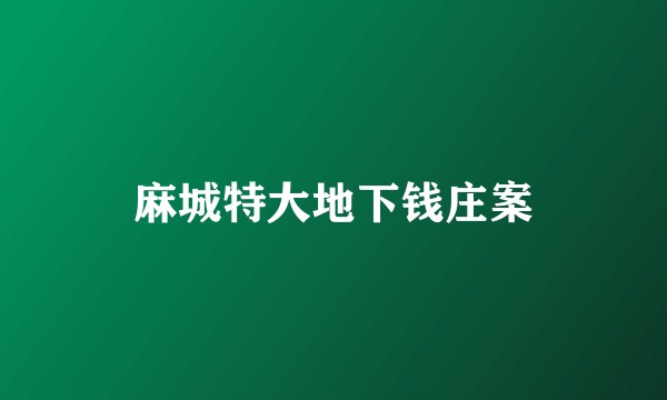 麻城特大地下钱庄案