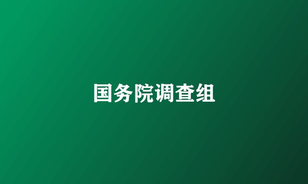 国务院调查组