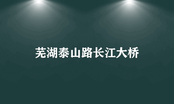 芜湖泰山路长江大桥